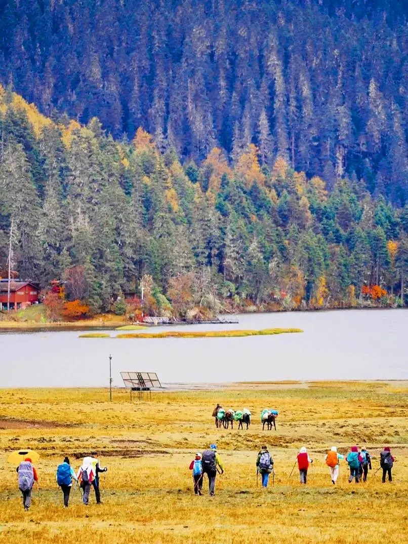 香格里拉尼汝秘境徒步_5_飞阅山河_云南-香格里拉-来自52tours 我爱旅游网